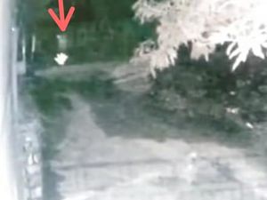 Analisis Polisi soal Pocong Dikejar Anjing: Candaan untuk Takuti Orang Analisis Polisi soal Pocong Dikejar Anjing: Candaan untuk Takuti Orang