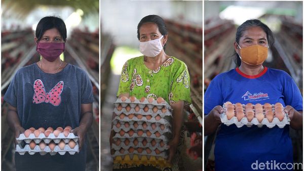 Tatapan Optimis Para Pejuang Telur
