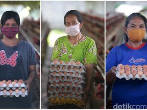 Tatapan Optimis Para Pejuang Telur Tatapan Optimis Para Pejuang Telur
