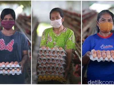 Tatapan Optimis Para Pejuang Telur