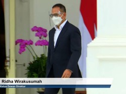 Bos LPI Buka-bukaan Potensi Investasi Infrastruktur Rp 133 T