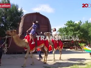 Celebrity on Vacation: Santai Naik Unta di Pinggir Pantai Celebrity on Vacation: Santai Naik Unta di Pinggir Pantai