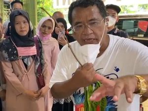 Mantap Divaksin, Hotman Paris Tak Sabar Terbang ke Bali Mantap Divaksin, Hotman Paris Tak Sabar Terbang ke Bali