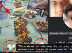 Pamer Makan Telur Penyu, Satu Keluarga Ini Dihujat Netizen
