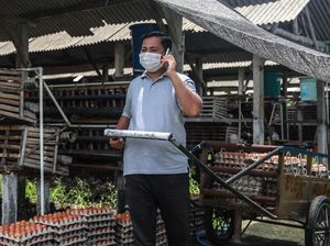 Juragan Telur Blitar Ini Sukses Ternak Ayam Petelur, Ini Kisahnya