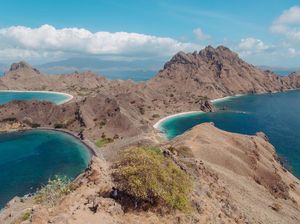 5 Tempat Wisata Viral di Taman Nasional Indonesia