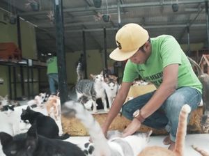 Bimbim Dibully Saat Perjuangkan Hak Hidup Kucing Jalanan