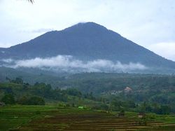 Wija Soju Bali, Sensasi Negeri Ginseng dengan Bahan Lokal Premium