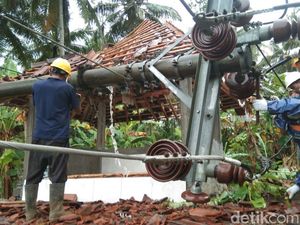 Angin Kencang di Kulon Progo, Sejumlah Pohon Tumbang-Tiang Listrik Patah