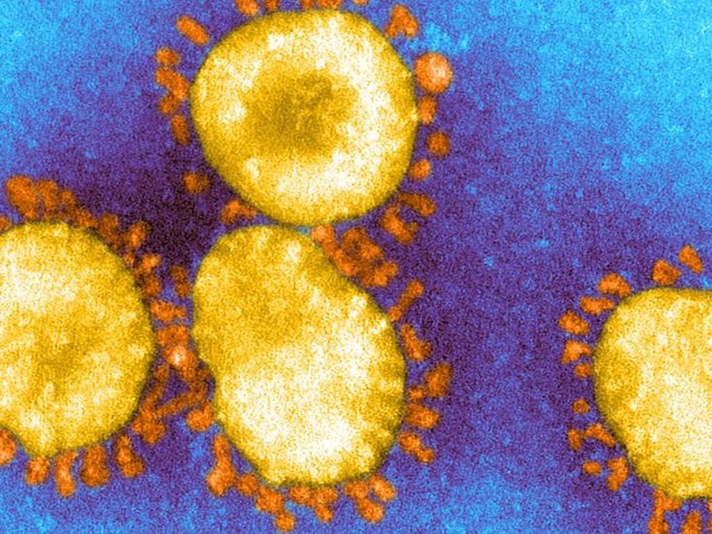 Melihat Proses Virus Corona Bermutasi dan Munculkan Varian Baru Melihat Proses Virus Corona Bermutasi dan Munculkan Varian Baru