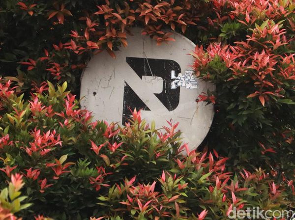 Duh, Rambu Jalan di Bandung Banyak Tertutup Pohon