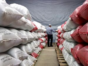 Selama Pandemi, BPS Catat Pertumbuhan Ekspor Pertanian hingga 14,03%