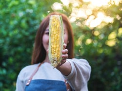 Masker Jagung Bisa Menghilangkan Bekas Jerawat, Ini Cara Membuatnya