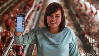 Kini Peternak Ayam di Blitar Bisa Jual Telur Pakai Aplikasi Pasar Mikro