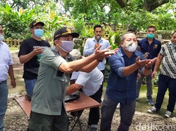 Lepas Burung Pemakan Ulat, Ini Upaya Banyuwangi Beri Kenyamanan Wisatawan