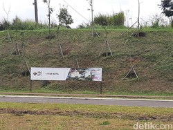 Ada Pelanggaran Lingkungan, Pembangunan KEK Lido Disegel Pemerintah!