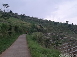 KEK Lido Disegel Pemerintah, Pihak Pengembang Kaget!