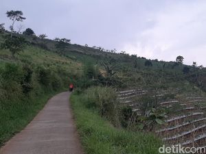KEK Lido Disegel Pemerintah, Pihak Pengembang Kaget! KEK Lido Disegel Pemerintah, Pihak Pengembang Kaget!