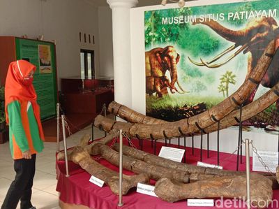 Foto: Situs di Kudus Simpan Aneka Fosil Hewan Purba