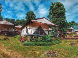 Wisata di Bandung, Ini 5 Tempat Glamping yang Ngehits