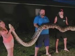 Pria Ini Bunuh Ular Piton 136 Kg, Alasannya Demi Hentikan Wabah