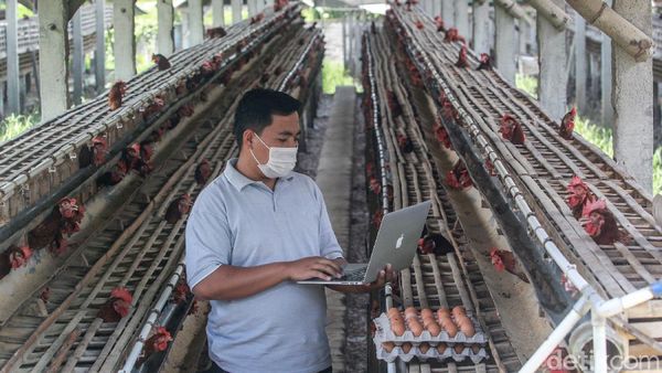 Unggul, Tinggalkan Jakarta untuk Membangun Desa