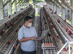 Unggul, Tinggalkan Jakarta untuk Membangun Desa