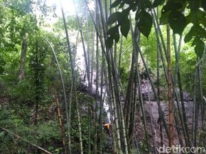 Bersihkan Sampah Gorong-gorong, Warga Prigen Jatuh ke Jurang Sedalam 80 Meter Bersihkan Sampah Gorong-gorong, Warga Prigen Jatuh ke Jurang Sedalam 80 Meter