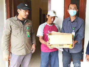 2 Anak Kucing Hutan yang Ditemukan Warga Lamongan Diserahkan BBKSDA Jatim