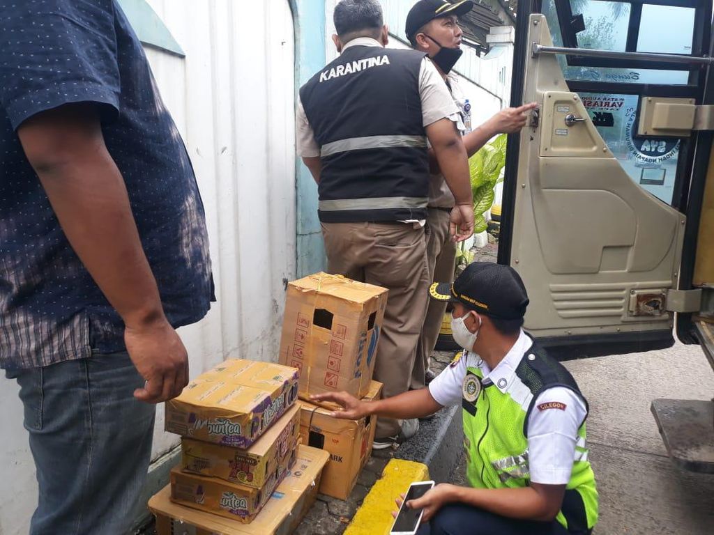 Tanpa Dokumen, Paket Puluhan Burung dari Sumatera Diamankan di Merak