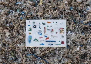 Foto: Saat Sampah Mengancam Keindahan Pantai di Pulau Dewata