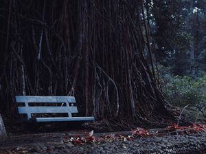 4 Wisata Murah di Bogor, Seharian Tidak Sampai Rp 200 Ribu!