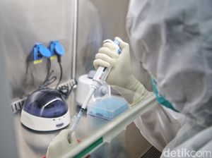 Studi Sebut Tak Ada Varian COVID-19 yang Bisa Hindari Semua Antibodi Studi Sebut Tak Ada Varian COVID-19 yang Bisa Hindari Semua Antibodi