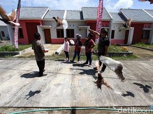 3 Fakta Syarat Bank dan Leasing yang Bisa Kasih DP 0% 3 Fakta Syarat Bank dan Leasing yang Bisa Kasih DP 0%