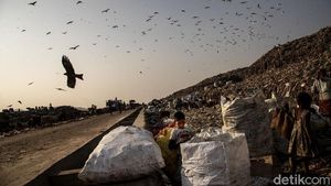 Potret Pemulung Cilik dari Tanah India