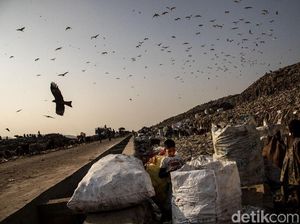 Potret Pemulung Cilik dari Tanah India