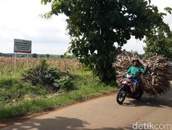 Harga Tanah Sekitar Kampung Miliarder Tuban Jadi di Atas Pasaran