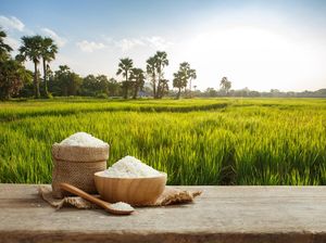 Indeks Ketahanan Pangan RI Peringkat 5 di ASEAN