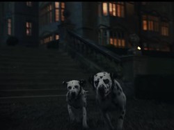 Anjing Dalmatian Peliharaan Raja Mesir Kuno Lho, Ini Kata Dosen IPB