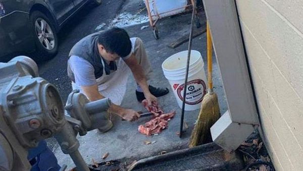 Kamu Akan Mual Melihat Foto-foto Ini