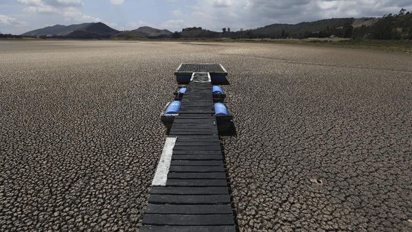 Nestapa Keringnya Laguna di Kolombia