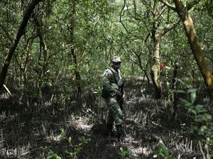 Penemuan Makam Rahasia Korban Geng Narkoba di Meksiko Penemuan Makam Rahasia Korban Geng Narkoba di Meksiko