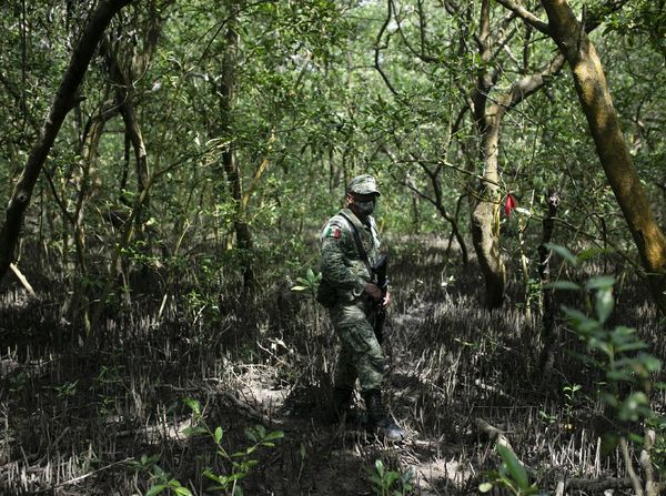 Penemuan Makam Rahasia Korban Geng Narkoba di Meksiko