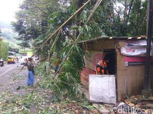 Pohon Tumbang di Jalan Raya Lembang Timpa Pemotor dan Posko Relawan