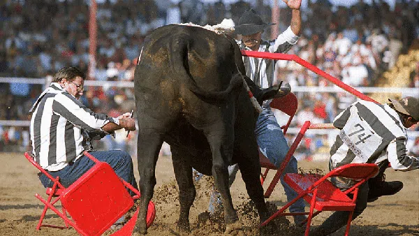 Potret Aksi Uji Nyali Koboi Rodeo