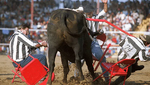 Potret Aksi Uji Nyali Koboi Rodeo
