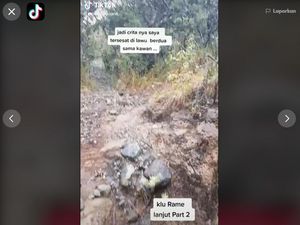 Kata Peneliti Burung soal Jalak yang Viral Tuntun Pendaki Gunung Lawu Kata Peneliti Burung soal Jalak yang Viral Tuntun Pendaki Gunung Lawu