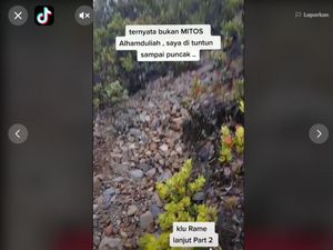 Viral Pendaki Gunung Lawu Dituntun Burung Jalak, Ini Mitos dan Faktanya