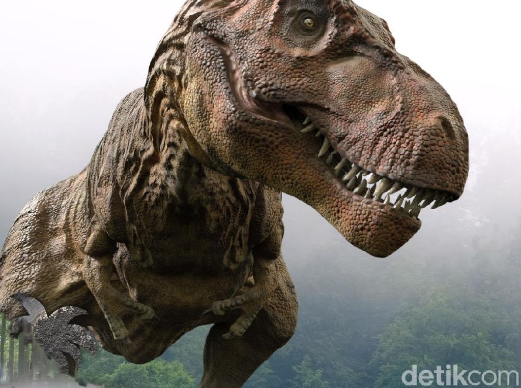 Asal-usul Bahan Bakar Fosil: Apa Betul dari Tulang Dinosaurus? Asal-usul Bahan Bakar Fosil: Apa Betul dari Tulang Dinosaurus?