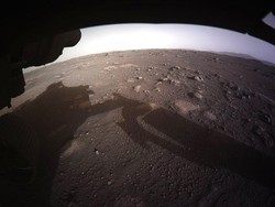 Beberapa Organisme Bumi Bisa Bertahan Hidup Sementara di Mars